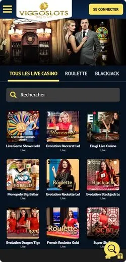 Viggoslots fr